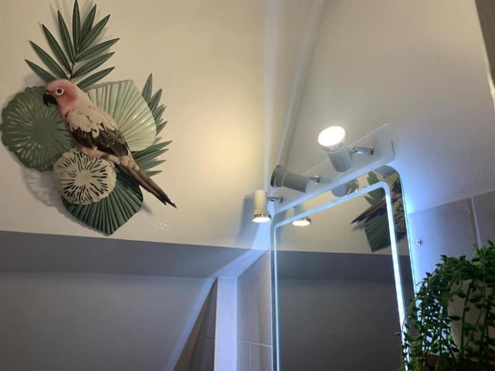 Escale Tropicale A Blois Lägenhet Exteriör bild