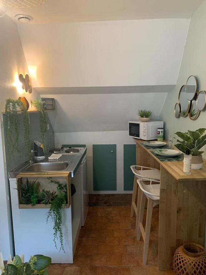 Escale Tropicale A Blois Lägenhet Exteriör bild